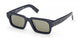ZEGNA 0255 Sunglasses