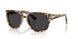 105648 - Tortoise - Polar Black