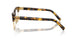 VAU1O1 - Tortoise
