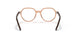 3899 - Brown