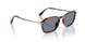 123556 - Brown - Light Blue