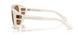 303973 - White - Dark Brown