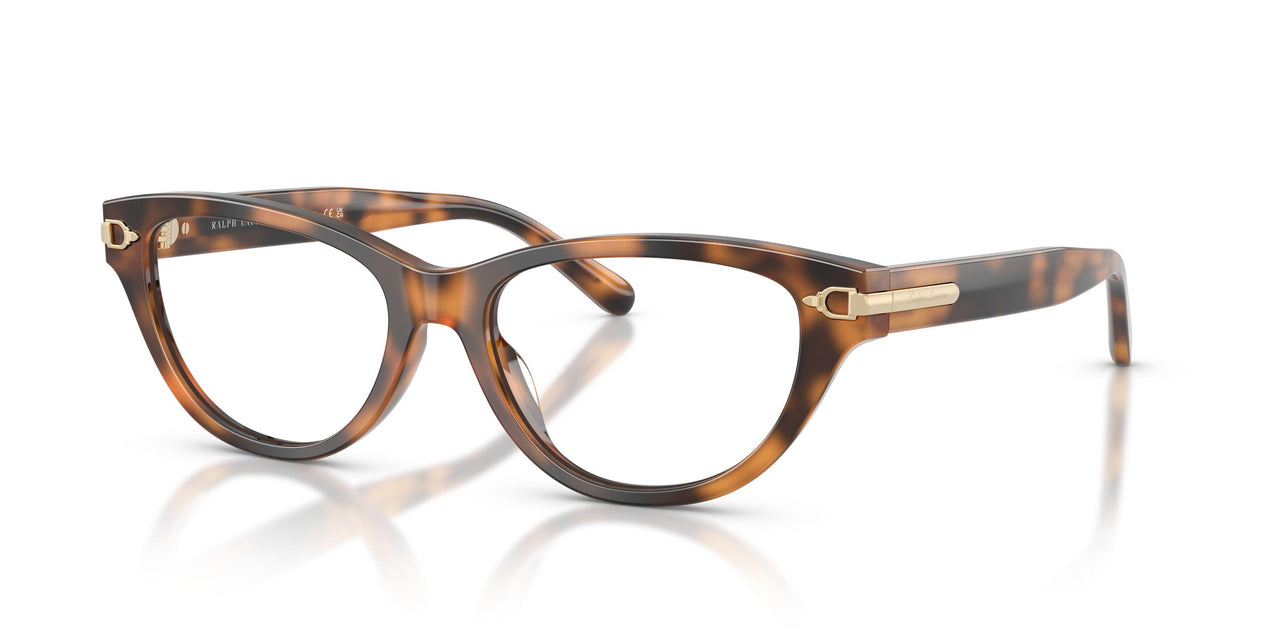 6089 - Tortoise