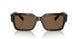 502/73 - Tortoise - Dark Brown