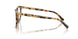 8064 - Tortoise