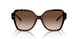 502613 - Tortoise - Gradient Brown