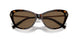 500373 - Brown - Brown