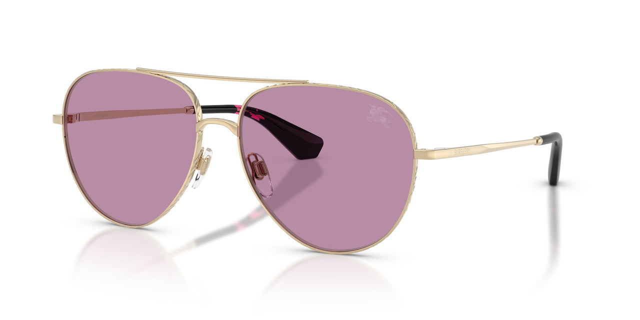 Burberry 3172 Sunglasses