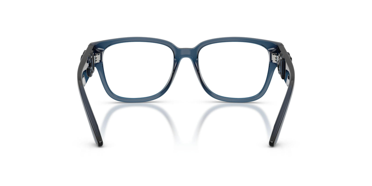 3009 - Blue