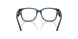 3009 - Blue