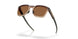 955502 - Brown - Prizm Bronze