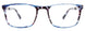 50 - Blue Tortoise