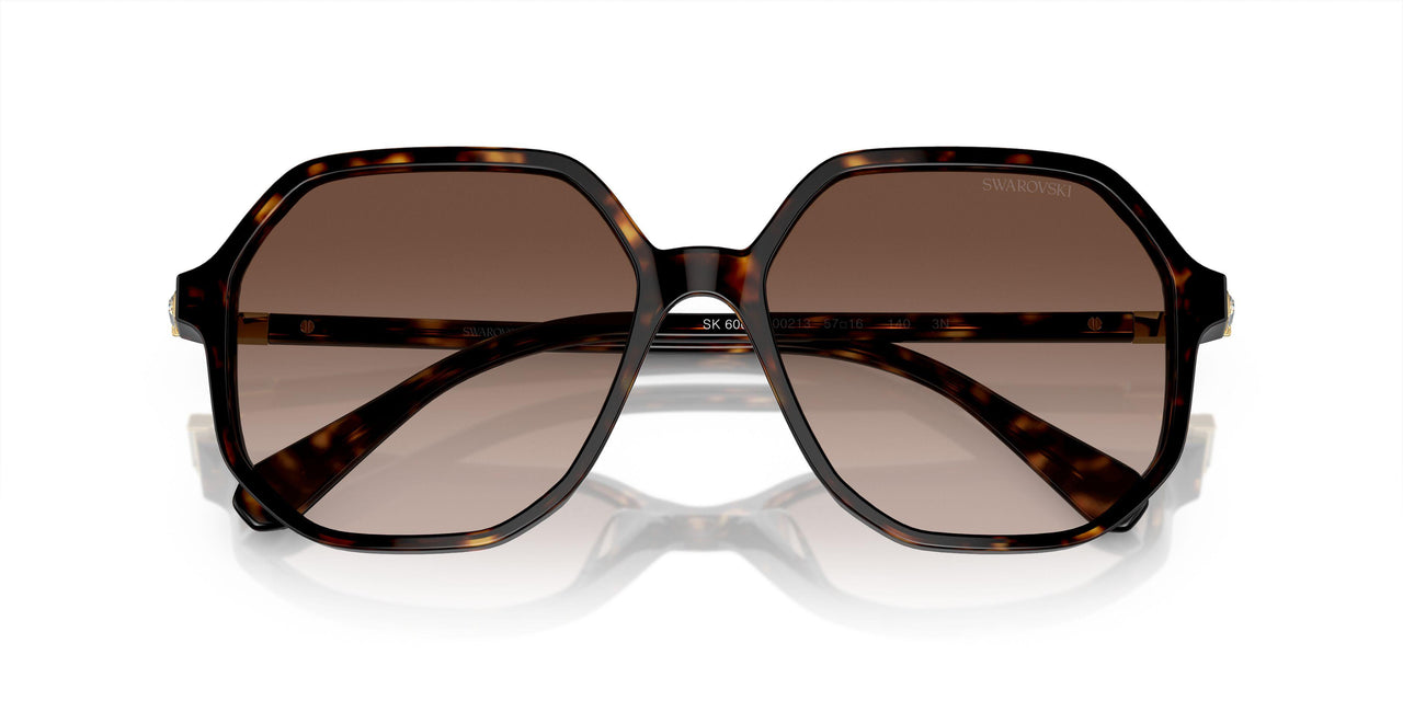 100213 - Tortoise - Brown Gradient