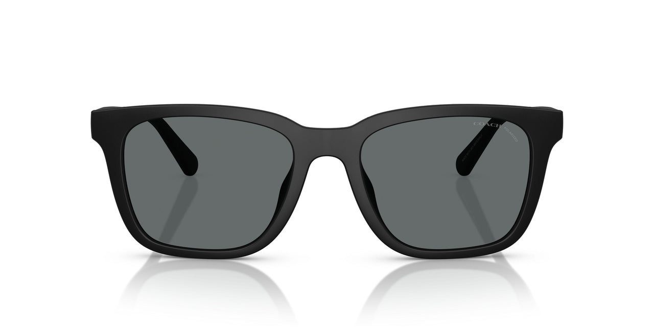 500281 - Black - Grey Solid Polar