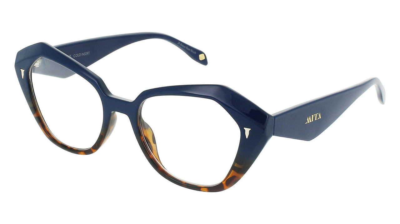 C92 - Navy Tortoise