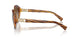 150813 - Brown - Brown Gradient