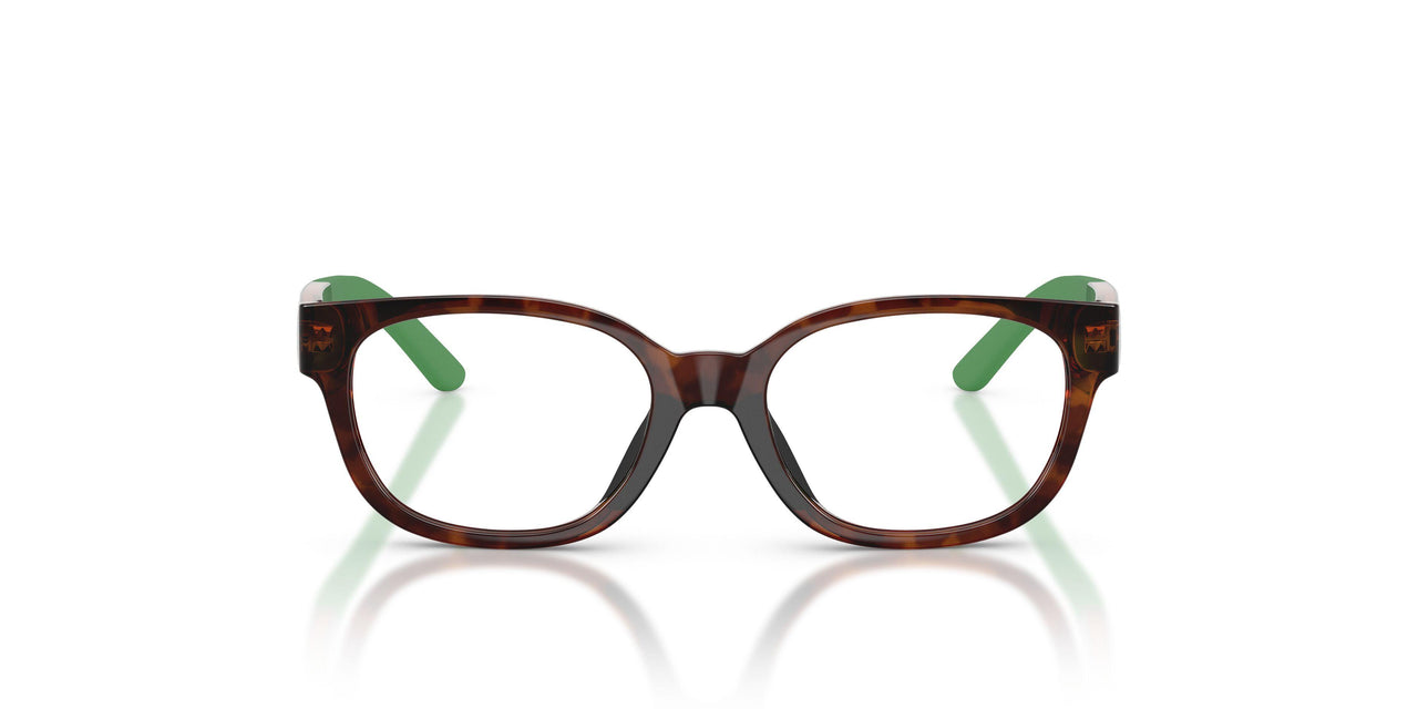 5003 - Tortoise