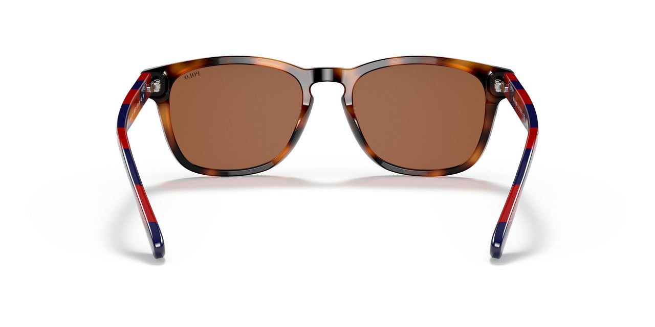 530373 - Havana - Brown