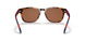 530373 - Havana - Brown