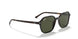 902/31 - Havana - G-15 Green