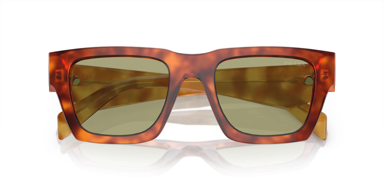11P60C - Brown - Green