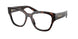 Prada C06V Eyeglasses