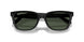 901/9A - Black - Polarized Dark Green