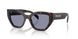 17N03N - Tortoise - Grey