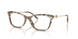 2026 - Brown