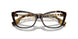 3002 - Brown