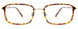 10 - Totroise & Light Brown/ Totroise & Light Brown