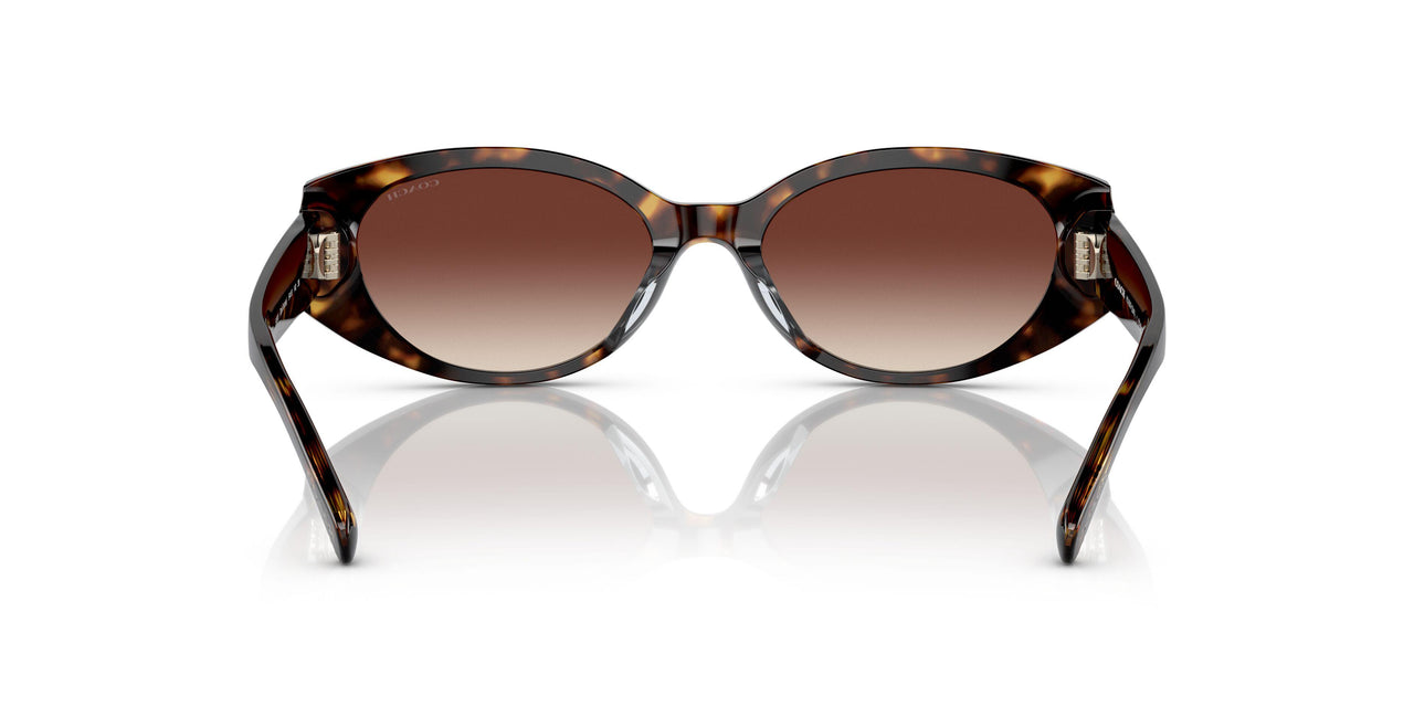 512013 - Havana - Dark Brown Gradient