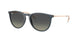 681311 - Blue - Gradient Grey