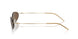 300273 - Gold - Dark Brown