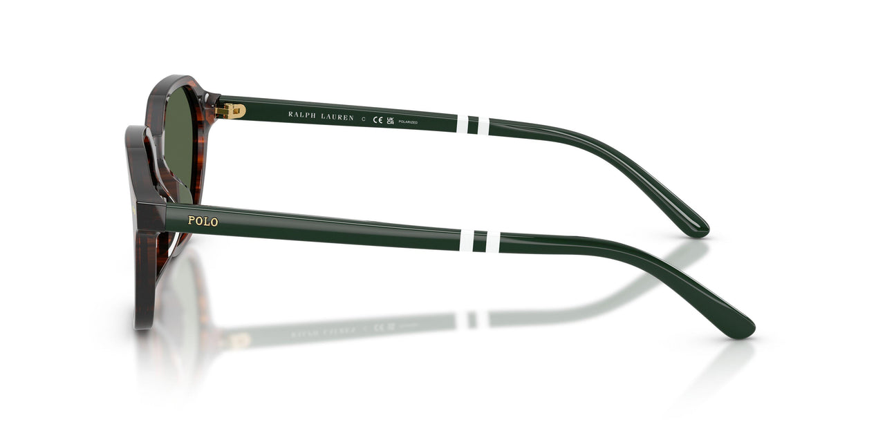 63159A - Tortoise - Polar Green