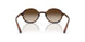 W65613 - Brown - Gradient Brown