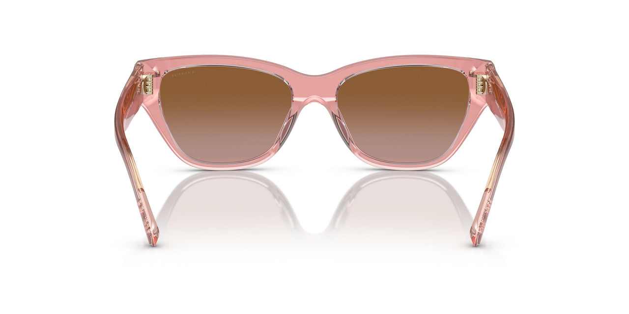 574313 - Pink - Brown Gradient