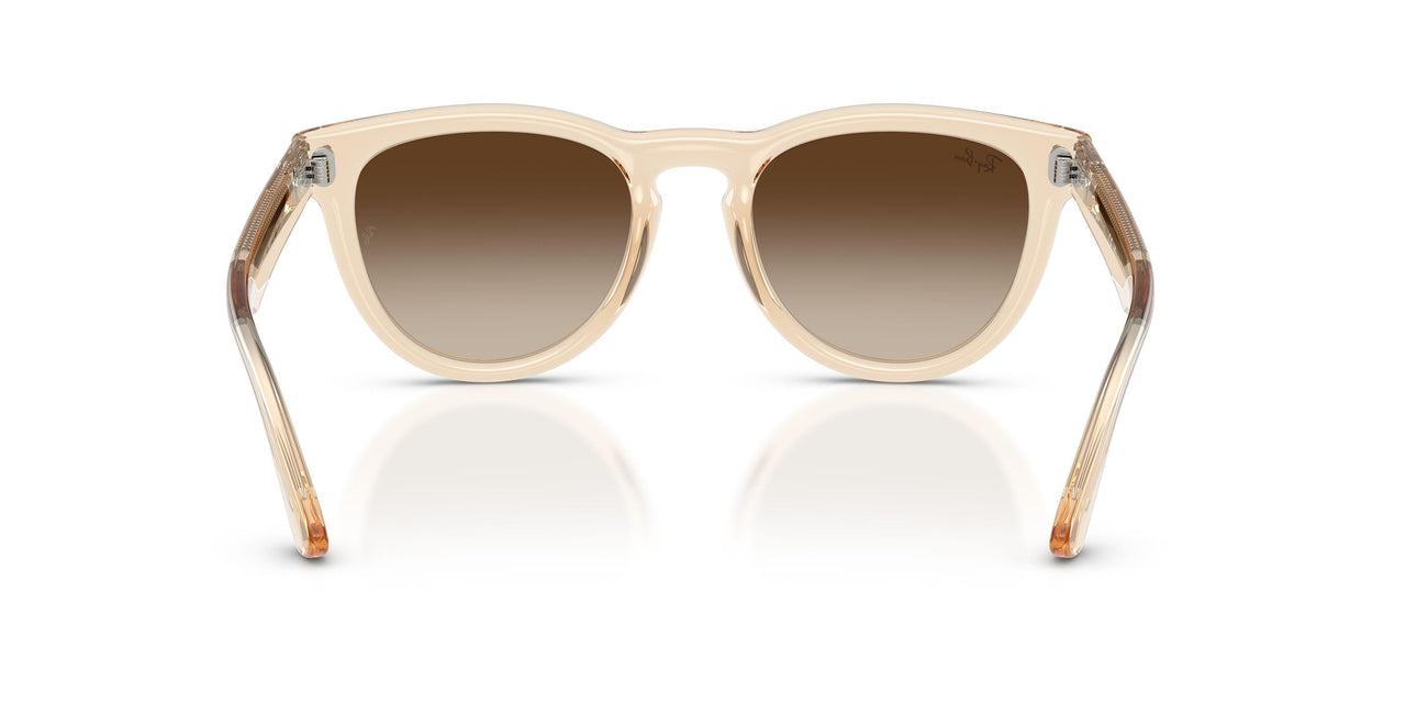 690213 - Pink - Light Brown Gradient Dark Brow