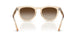 690213 - Pink - Light Brown Gradient Dark Brow
