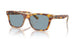 575672 - Tortoise - Light Blue Solid