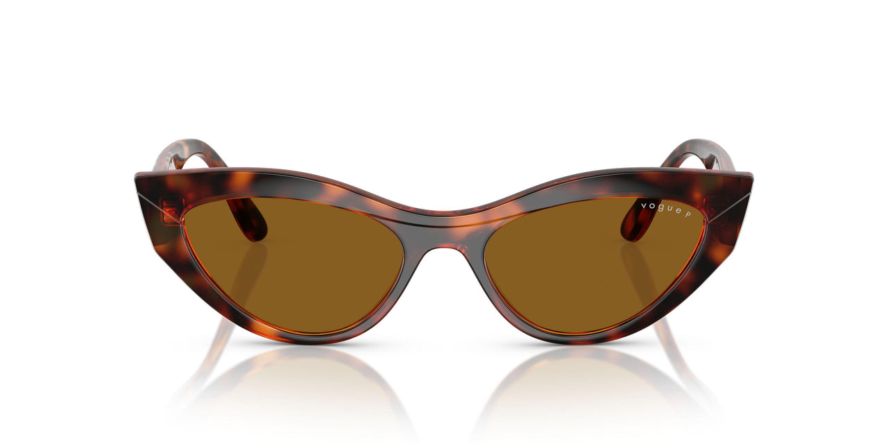 W65683 - Brown - Dark Brown Polar