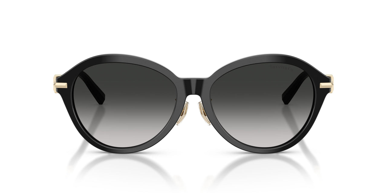 80013C - Black - Gray Gradient