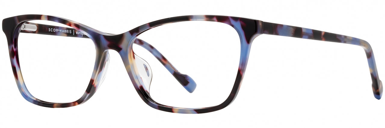 1 - Periwinkle Tortoise
