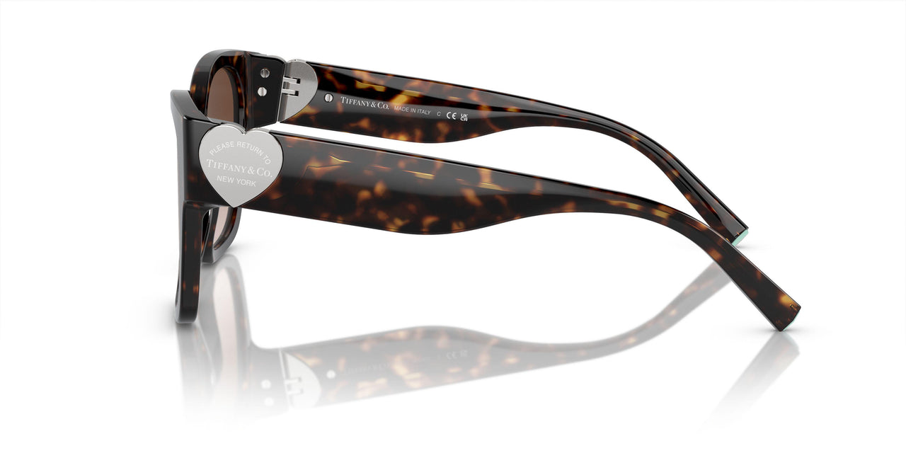 80153B - Tortoise - Brown Gradient