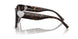 80153B - Tortoise - Brown Gradient