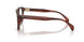 3034 - Tortoise