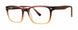 PLASTICS II DAILY Eyeglasses