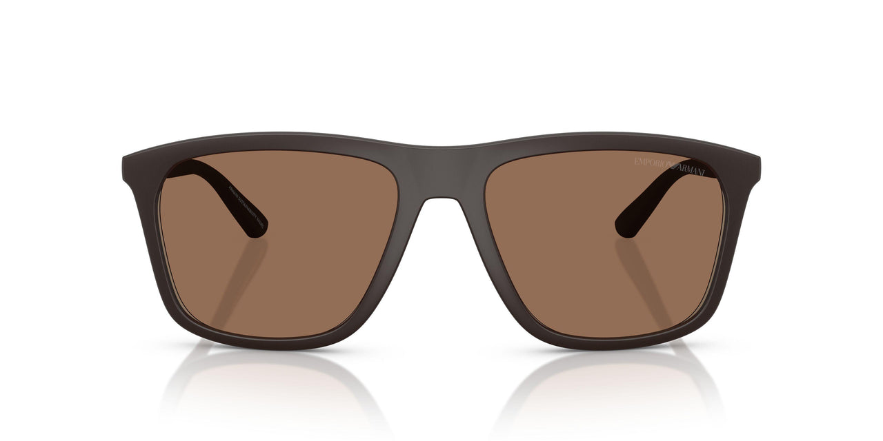 6186EF - Brown - Dark Brown Mirror Gold