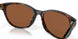 201201 - Tortoise - Copper