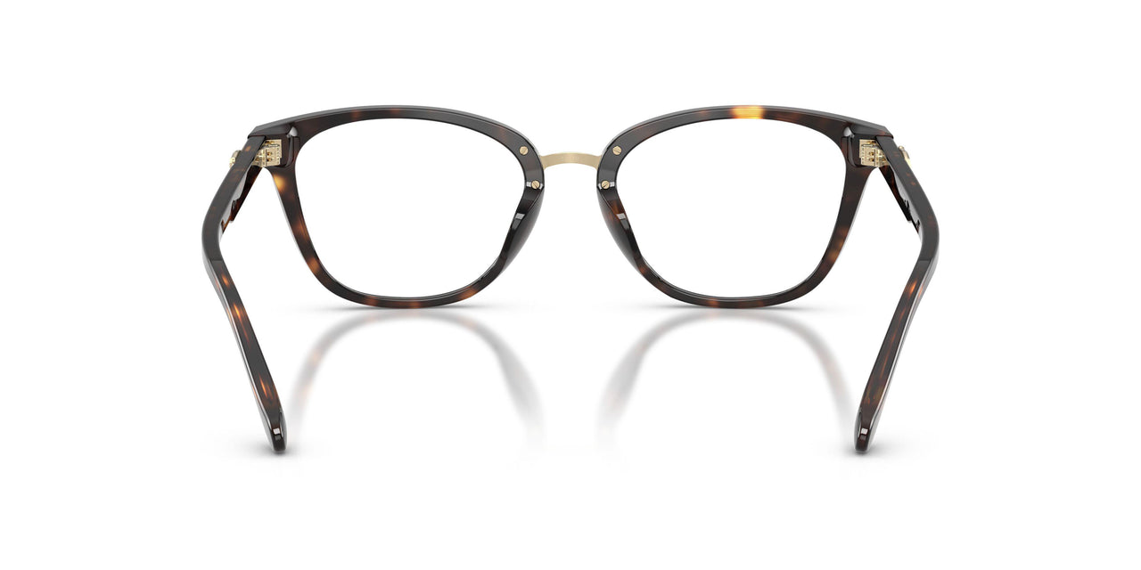 5120 - Tortoise